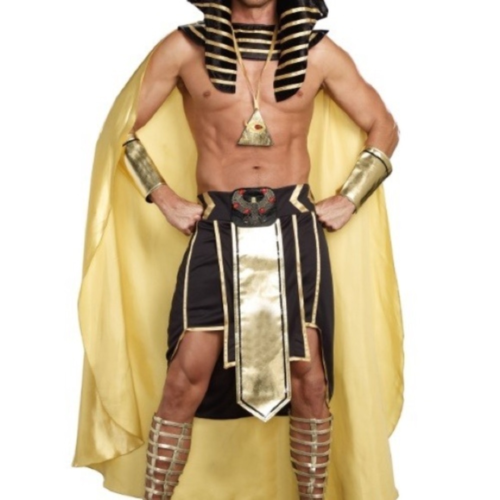 Dreamguy Egyptian Pharaoh Mens Costume - Black and Gold